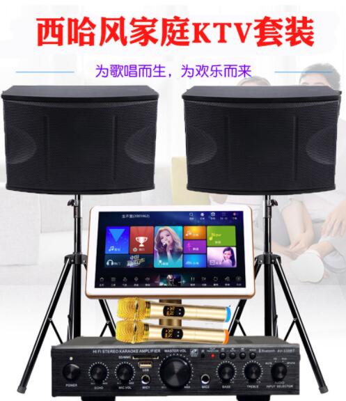 春節(jié)聚會(huì)不用再去ktv了,在家也能k歌了